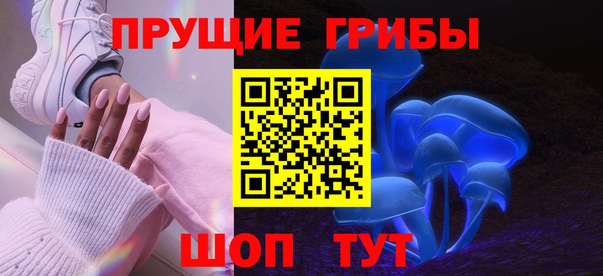 Псилоцибиновые грибы GOLDEN TEACHER Солнечногорск